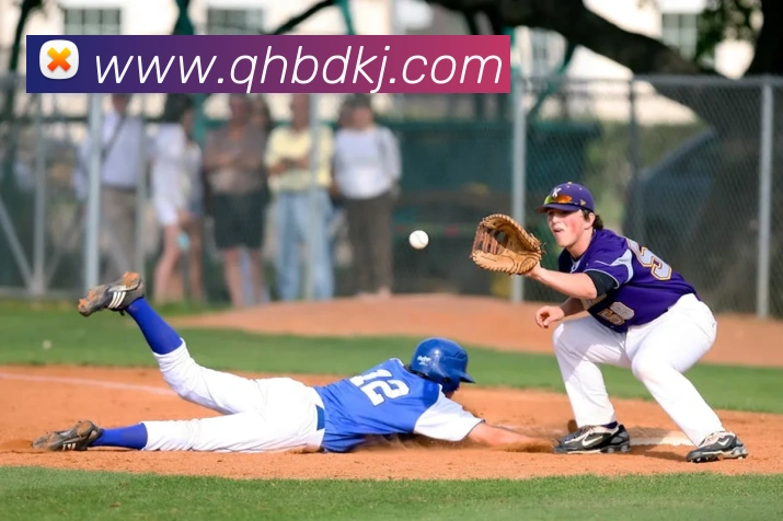 必一运动平台生态图